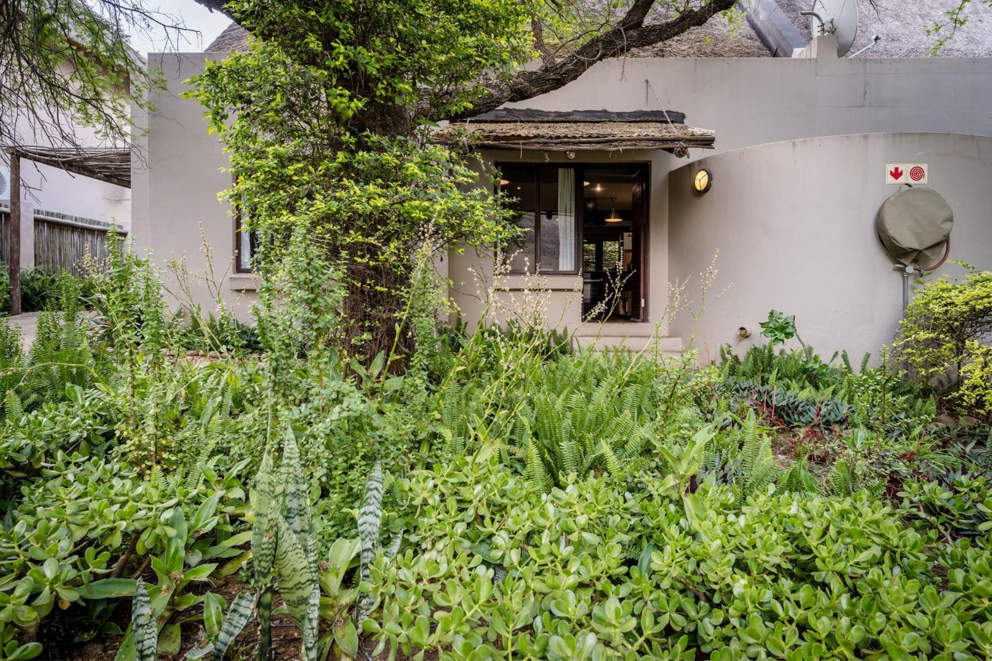 Raptors Wildlife Escapes Hoedspruit Exterior foto